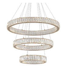 Wesar Iron & Crystal LED 3 Light Pendant