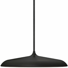 Artist Interior Pendant Light