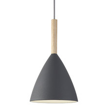 20cm Pure Pendant Light