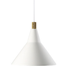 Brassy Pendant Light