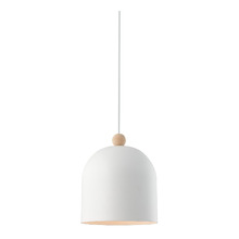 Gaston Steel Pendant Light