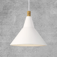 Brassy Pendant Light
