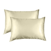 Hani Mulberry Silk Standard Pillowcases (Set of 2)