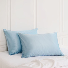 Hani Mulberry Silk Standard Pillowcases (Set of 2)
