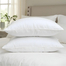 Twin Pack Duck Feather & Down Pillows