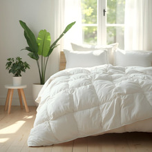 Deluxe Pure Soft Goose Feather & Down Quilt