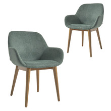 Allister Chenille Dining Chairs (Set of 2)