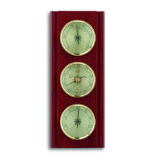 Weather Station Wall Feature