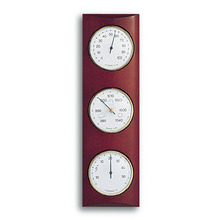 Weather Station Wall Feature