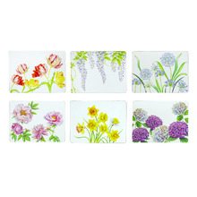6 Piece Botanical Symphony Floral Placemat Set