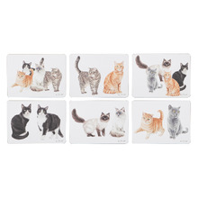 6 Piece Purrrfect Moments Placemat Set