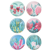 6 Piece Native Flora Magnet Set