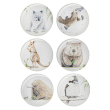 6 Piece Bush Buddies Glass Magnet Set
