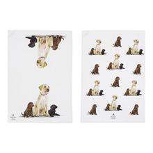 2 Piece Labrador Puppy Love Kitchen Towel Set