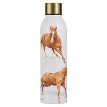 Horses by Charlotte 500ml Drink Bottle
