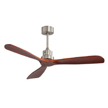 Erina AC Ceiling Fan