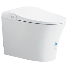 Lam Wall Faced Smart Toilet