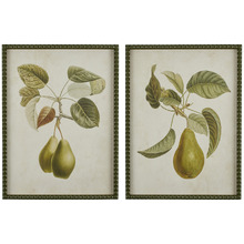 2 Piece Pyrus Framed Printed Wall Art Set