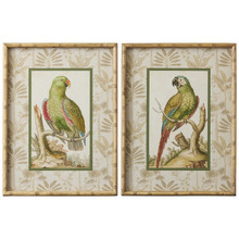 2 Piece Antigua Framed Printed Wall Art Set