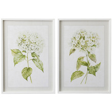 2 Piece Hafwen Framed Printed Wall Art Set