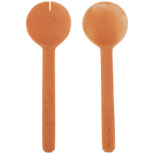 2 Piece Variel Resin Salad Server Set