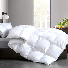 Veloria Goose Down & Feather All Seasons Quilt
