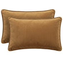 Mireille Rectangular Velvet Cushions (Set of 2)