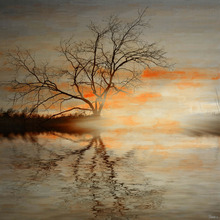Red Leafs B Canvas Wall Art