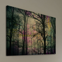 Night Sight Canvas Wall Art