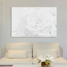 White Rose Art Print on Canvas