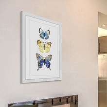 Three Butterflies Wall Art