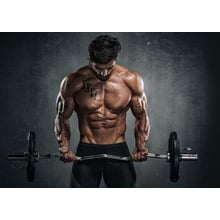 Olympic Ez Curl Bar with Spring Collar
