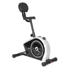 Lifespan Fitness Cyclestation 3 Exercise Bike