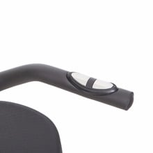 Lachesis Recumbent Exercise Bike