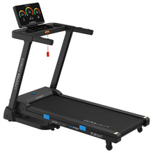 Avery Electric Treadmill