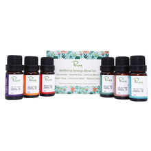 6 Piece Pure by Alcyon Wellbeing Synergy 10ml Blend Set