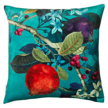 Pomegranate Velvet Cushion