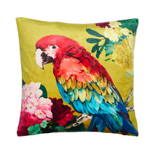 Chintz Parrot Square Velvet Cushion