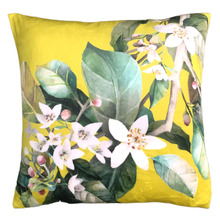 Daylesford Velvet Cushion
