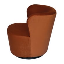 Raeley Velvet Swivel Chair