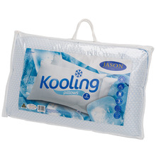Jason Kooling Pillows (Set of 2)