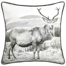 Alpine Stag Velvet Cushion