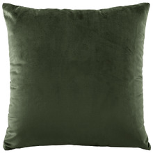 Vivid Velvet  Cushion