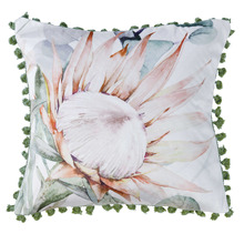 Helensvale Velvet Cushion