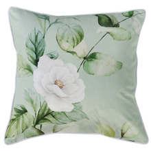 Sage Salisbury Velvet Cushion