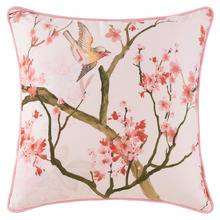 Evelyn Velvet Cushion