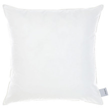 1100GSM Cotton All Seasons European Pillow