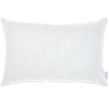 1000GSM Cotton All Seasons Standard Pillow