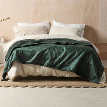 Sena Velvet Blanket