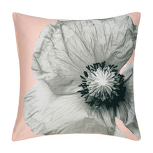 Ellie Cotton Sateen European Pillowcase
